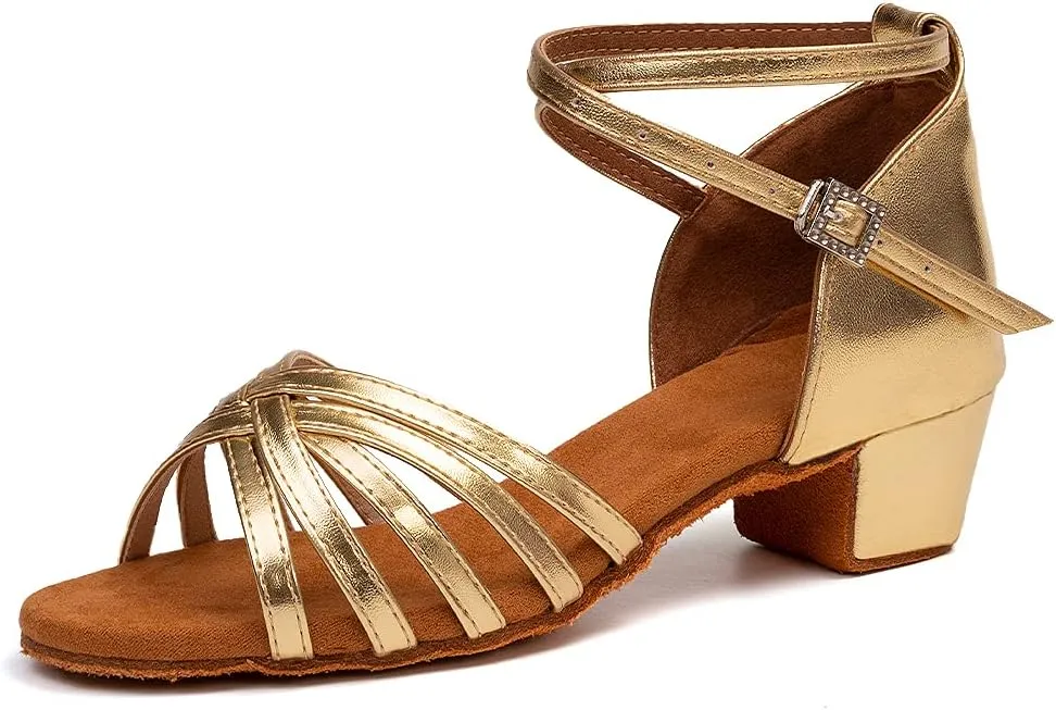 HIPPOSEUS Girls Latin Dance Shoes Low Heel Satin Ballroom Salsa Dance Practice Performance Dancing Shoes,Model 202