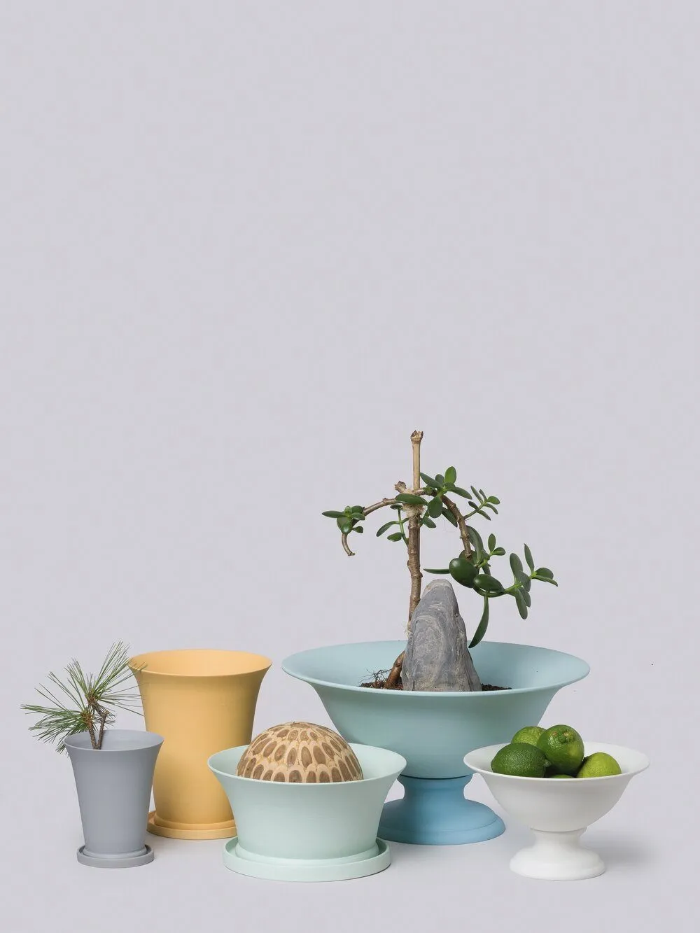MINIMUS CONICAL POT