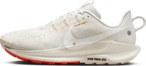 Nike Pegasus Trail 5 Men's Trail Running Shoes
